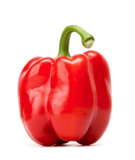 red-pepper-2-png2