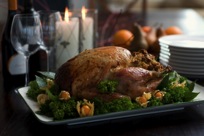 thanksgivingturkey