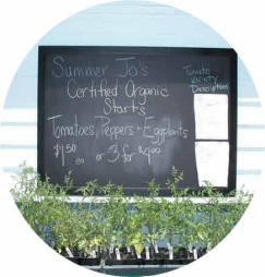 farm stand