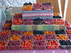 produce