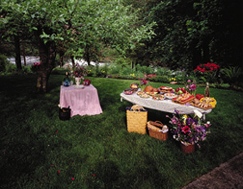 outdoor party